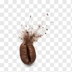 A cracked coffee bean with exploding powder on a transparent background.