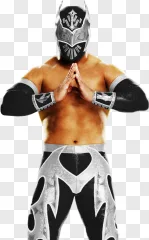 A masked wrestler in a fighting stance on a transparent background.