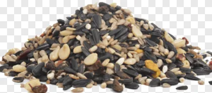 A pile of mixed bird seed including sunflower seeds and millet on a transparent background.