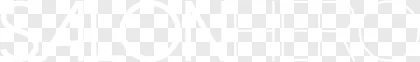 A Salon Hero white typography logo on a transparent background.