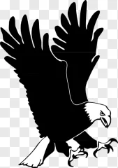 A minimalist bald eagle silhouette is displayed on a transparent background.