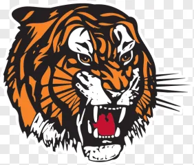 A fierce roaring tiger head illustration in vector style on a transparent background.