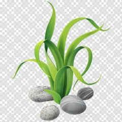 Green spring grass growing from decorated eggs on a transparent background.