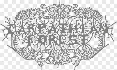 An ornate vintage lace frame with floral details on a transparent background.