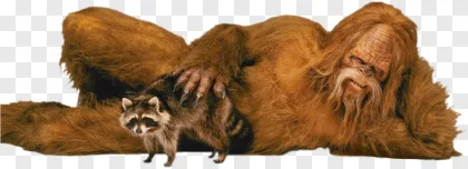 A furry Bigfoot creature holding a raccoon on a transparent background.