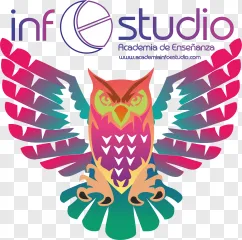 A colorful owl logo with spread wings on a transparent background.