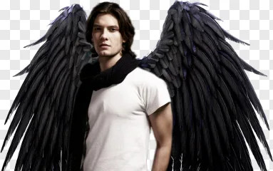 A dark angel man with large wings standing on a transparent background.