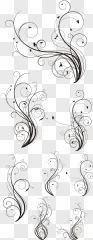 Elegant swirls and flourishes line art displayed on a transparent background.
