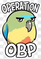 A grumpy cartoon parrot sticker with the text operation obp displayed on a transparent background.