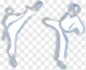 Two martial artists performing high kicks in a sketch style on a transparent background.