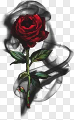 A painted red rose with a stem and green leaves on a transparent background.
