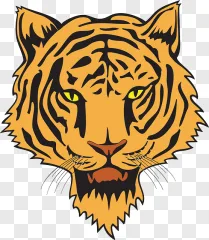 A fierce tiger head vector illustration on a transparent background.