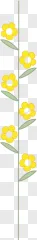 Yellow flower stem illustration displayed on a transparent background.