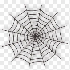 A black spider web corner graphic on a transparent background.