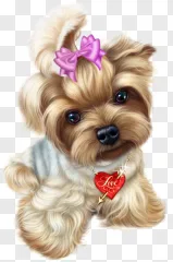 A cute Yorkshire terrier puppy with a pink bow and heart necklace on a transparent background.