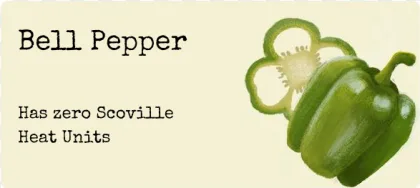 A hand-drawn green bell pepper slice on a transparent background.