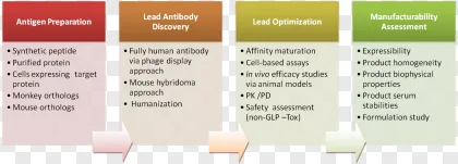 Human antibody discovery with lead optimization on a transparent background.