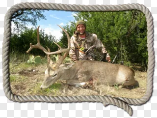 A smiling hunter posing outdoors with a harvested whitetail deer on a transparent background.