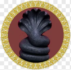 A multi-headed black cobra snake with a golden frame displayed on a transparent background.