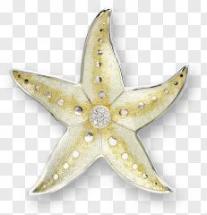 A sparkling starfish brooch jewel displayed on a transparent background.