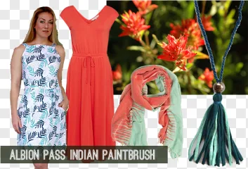 Clothing and Fashion PNG collection