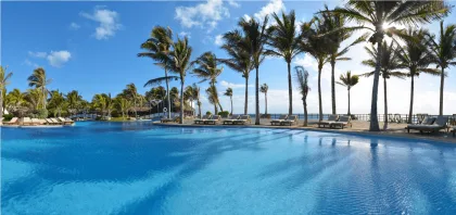 A tropical resort pool with palm trees and lounge chairs on a transparent background.